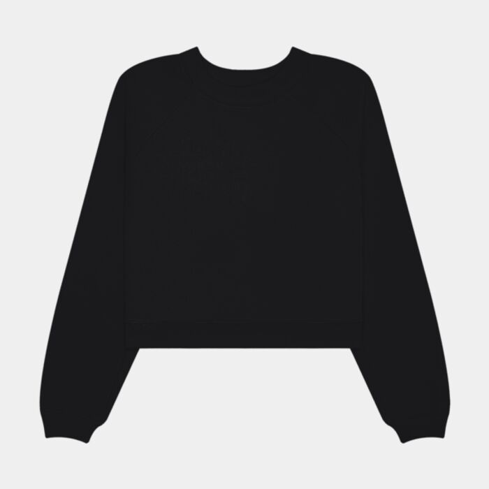 Women's Raglan Pullover Sponge Fleece Thumbnail